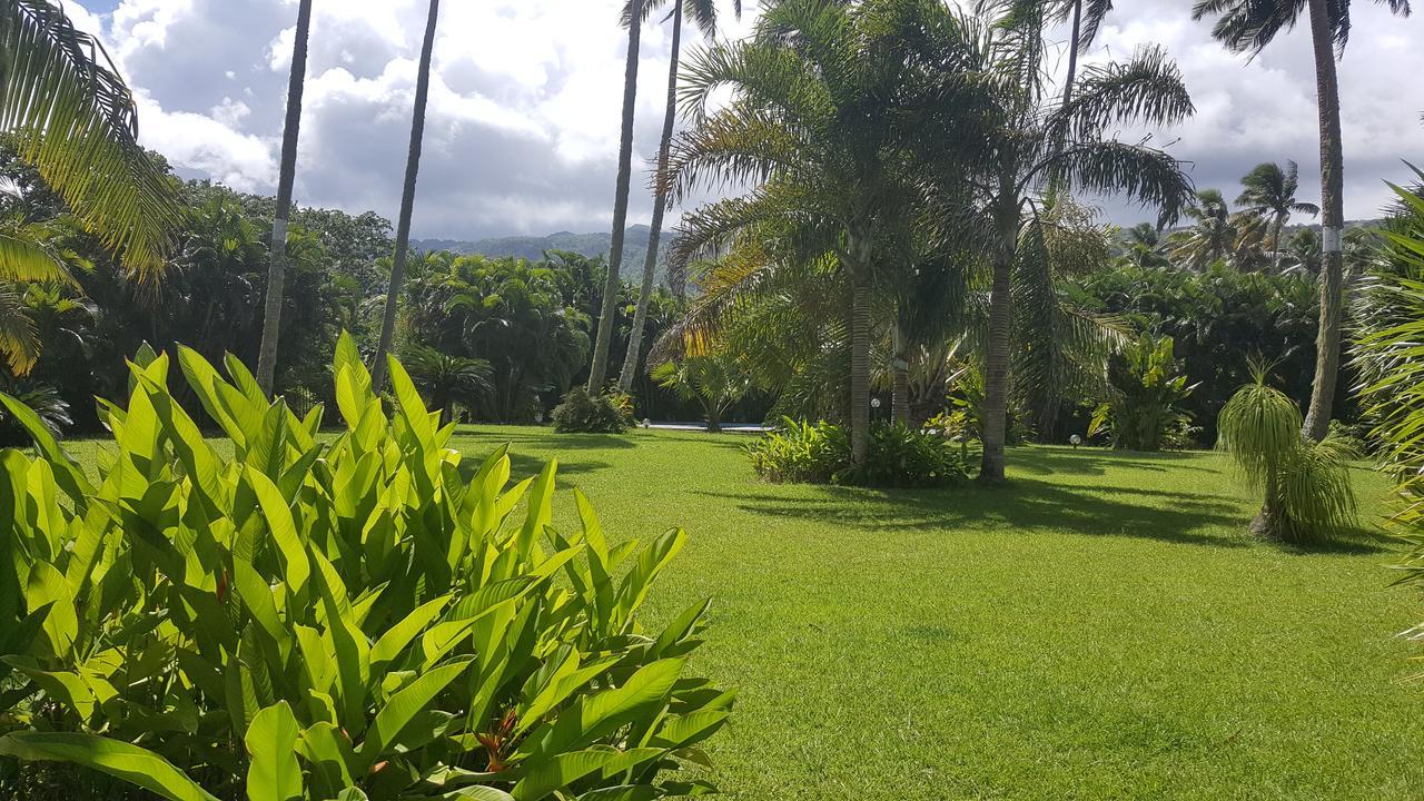 Villa Manaora Taravao Exterior photo